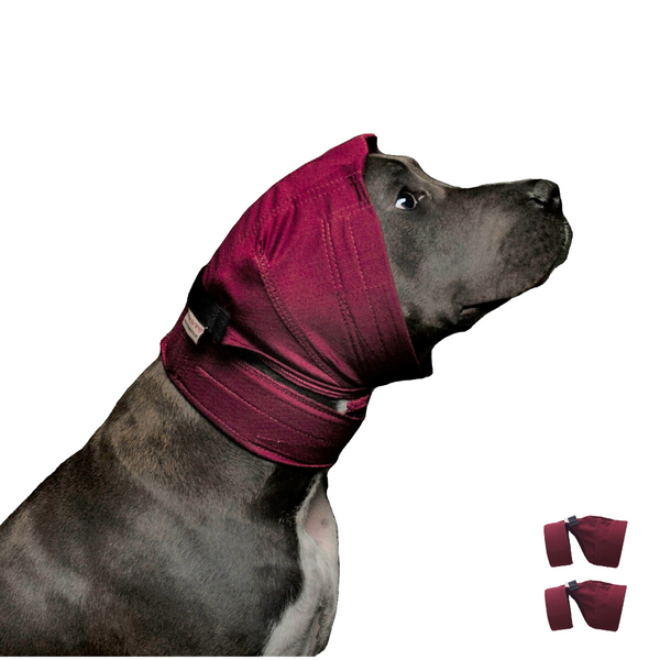 DOG No Flap Ear Wrap Pinpoint Mesh/Pair Combo Kit