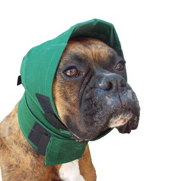 DOG No Flap Ear Wrap Pinpoint Mesh