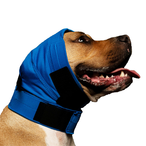 DOG No Flap Ear Wrap Pinpoint Mesh